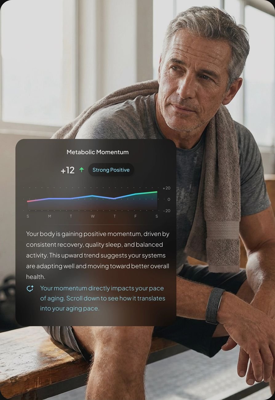 Hume-Band-Dashboard zeigt steigendes Metabolic Momentum im Zeitverlauf